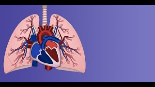 Persistent Pulmonary Hypertension of the Newborn Pathophysiology by A Moscatelli  OPENPediatrics [upl. by Alyss797]