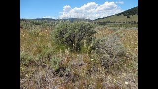 Land Stewardship and Improvement with Larry Holzworth [upl. by Fairlie]