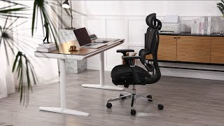 Ergonomischer Bürostuhl BS163sz [upl. by Treborsemaj914]