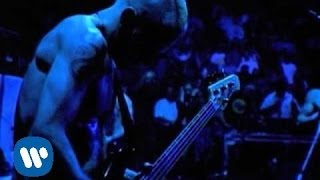 Red Hot Chili Peppers  Coffee Shop Official Music Video [upl. by Silisav981]