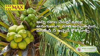 Telugu  Online coconut Farmer MrSuresh kumar giving feedback about our Cocomax result [upl. by Dorolisa]