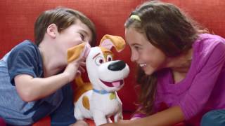 Spin Master  Secret Life of Pets Presents Best Friend Max [upl. by Ellohcin]