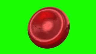 human blood cell in green screen free stock footage [upl. by Adieno]