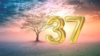 Angel number 37 meaning [upl. by Moneta]