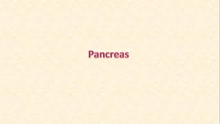 Histology of Pancreas Lab [upl. by Styles]