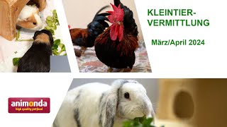 Kleintiervermittlung  MärzApril 2024 Tierheim Hannover TV [upl. by Lirva238]