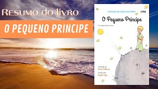 O pequeno príncipe I Resumo do livro [upl. by Hibbs]