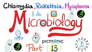 Microbiology  Picmonic  Chlamydia Rickettsia and Mycoplasma Atypical bacteria  Part 13 [upl. by Atteval]