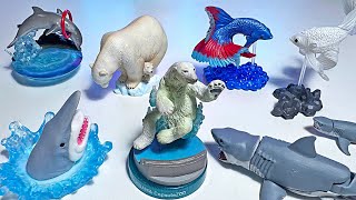 Sea Animals Gashapons  Polar Bear Shark Hammerhead Shark Whaleshark Dolphin Betta Fish Turtle [upl. by Luapnoj]