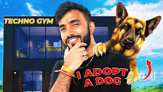 I ADOPTED A DOG FOR MY GYM [upl. by Oster]