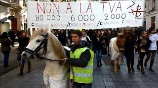 Marche antiéquitaxe à Lyon [upl. by Letsirc]