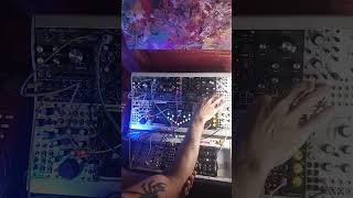 ETHEREAL synth eurorack electronicmusic ambient noise modularsynth melodic minimal zazen [upl. by Alial]