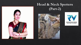 Head and Neck Spotters Part2 by Dr Rajitha Vanga [upl. by Chaves302]