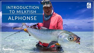 Introduction to Milkfish [upl. by Boone]