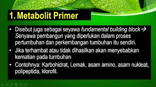 Metabolit Primer Karbohidrat [upl. by Atnauqahs]