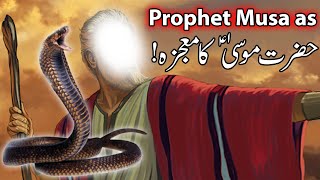 Hazrat Musa as Ka Mojza  Prophet Moosa Firon Waqia  Moses Story  Qasas ul Anbiya Mehrban Ali Nabi [upl. by Snoddy]