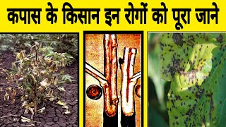 कपास के भयंकर रोग  Fusarium wilt  leaf spot  Blight Diseases  Bhartiya Kisan  kapas ki kheti [upl. by Isaac]