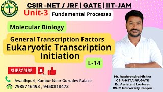 General Transcription Factors  Eukaryotic Transcription Initiation  Lecture20 [upl. by Nura]