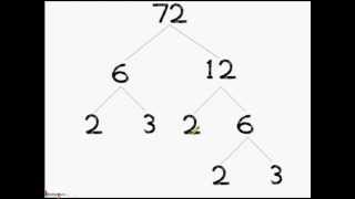 Math  Prime factorization  What is a Factor Tree  English [upl. by Powers415]