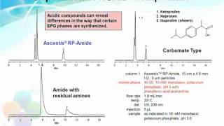 Reversephase HPLC [upl. by Nodmac]