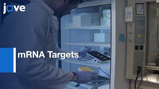 Biotinbased Pulldown Assay to Validate mRNA Targets  Protocol Preview [upl. by Melloney987]