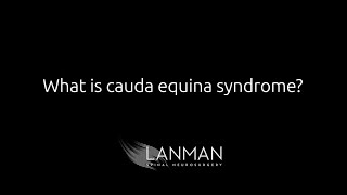 What is cauda equina syndrome  Dr Todd Lanman [upl. by Dustin]