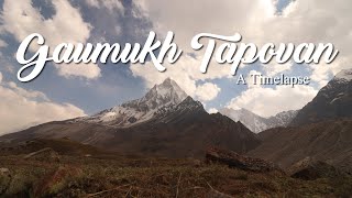 Gaumukh Tapovan  A Timelapse  Uttarakhand  Uttarkashi  2024  HD [upl. by Eulalie]