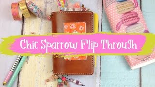 Chic Sparrow Pocket Mr Darcy Flip Through [upl. by Einitsed]