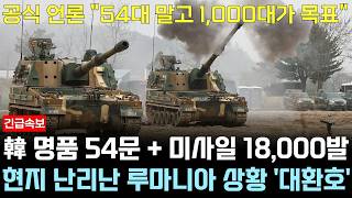 한국 명품 K9 자주포 미사일 18000발 루마니아 현지 등장 공식 언론 대환호 quot54문 말고 1000문 목표quot [upl. by Ludovick]