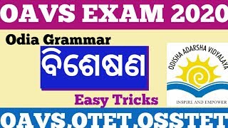 Oavs odia grammarBisesanaotet ctet otetoavs exam 2020otet 2020 [upl. by Aros]