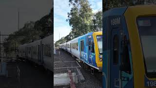 Indigenous artwork on X’Trapolis train at Jordanville Station [upl. by Meibers]