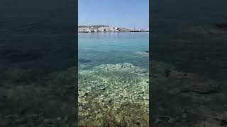 Look how clear this water is Mykonos Greece is gorgeous 🇬🇷greece mammamia cruise mykonos [upl. by Giovanni52]