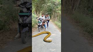 Naagin ka badla 😱🐍 shorts ytshorts viralvideos snake [upl. by Glaudia]