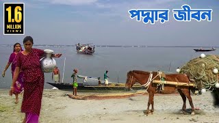 দেশের দীর্ঘতম নদী পদ্মার জীবন  Life of the Longest River Padma [upl. by Illek288]