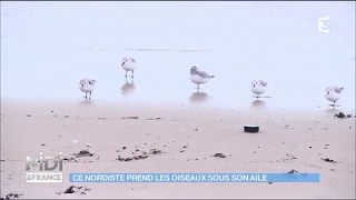 Un ornithologue passionné dans le port de Dunkerque [upl. by Gotcher367]