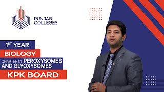 PGC LecturesInter Part 1KPK BoardBiologyChapter 1  Peroxisomes and Glyoxysomes [upl. by Areema]