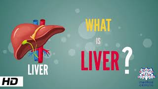 What is Liver Anatomy Parts and Function [upl. by Bruckner]