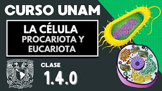 🌱 Célula EUCARIOTA y PROCARIOTA  Diferencias  Examen UNAM  Organelos celulares  Biología [upl. by Eimot]