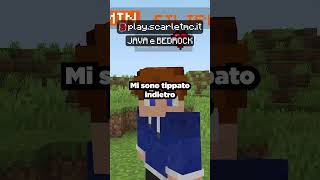 Sono stato Trollato sul mio Server Minecraft 😡 [upl. by Ybbor989]