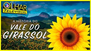 Vale do Girassol  Olhar Televisual EP 32 [upl. by Novla]