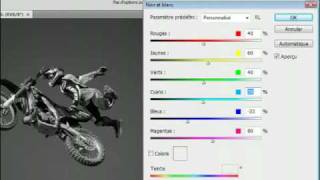 Adobe Photoshop CS4  Passer une image couleur en noir et blanc [upl. by Irtemed]