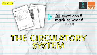 QUESTIONS A ANSWERS amp MARK SCHEMES  Circulatory System Ch 3  IGCSE PE exam revision [upl. by Mobley]