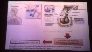 FISIOPATOLOGIA DE LIQUIDOS Y ELECTROLITOS DESHIDRATACION [upl. by Meryl322]