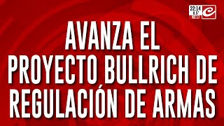 Avanza el proyecto Bullrich de regulación de armas [upl. by Bertolde]