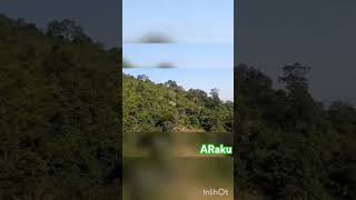 Araku waterfalls trending shortsvideo picnicspot phootshoot vizag [upl. by Niamart85]