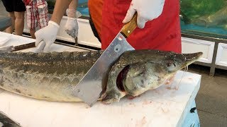 Graphic Giant STURGEON Fillet and Cook  Vietnam Street Food 2018 [upl. by Airec172]