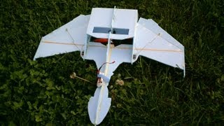 RC Bird of Prey Foamie  Flight 2 [upl. by Nylrad52]