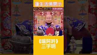 你知道什麼是嗡阿吽OM AH HUM嗎？蓮生活佛 佛法 密法 開示 omahhum 嗡阿吽 [upl. by Ellehcir577]