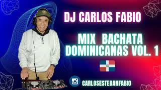 Mix Bachata Dominicanas Vol 1  2024   Dj Carlos Fabio [upl. by Eilsel563]