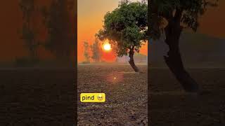 pind 🥺 pind desi pindawale pindan jatt trending shortsfeed shorts song kulbirjhinjar [upl. by Farrar]